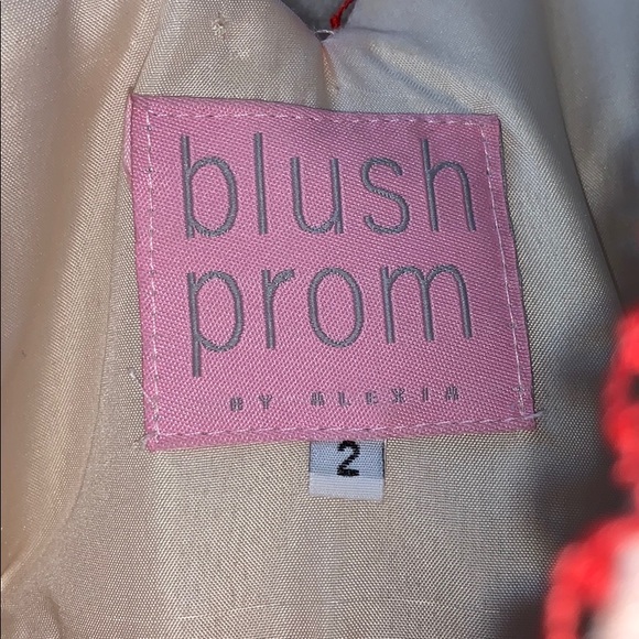 BLUSH red formal dress | WORN ONCE | SIZE 0-2 - Picture 8 of 8